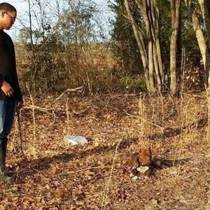 Meet your Posher, Jerrelle